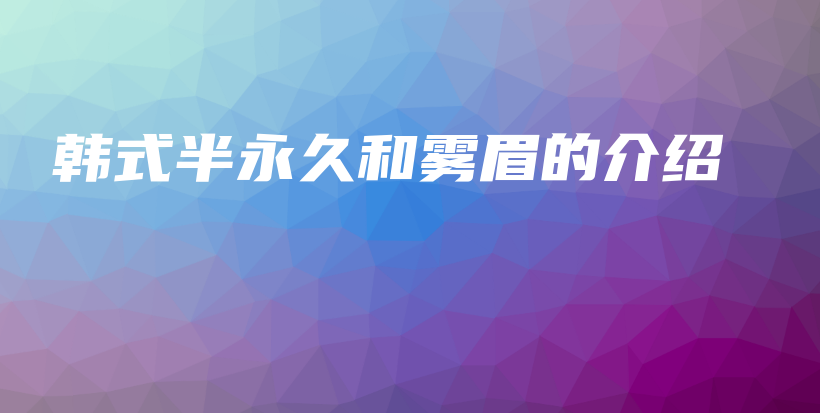 韩式半永久和雾眉的介绍插图