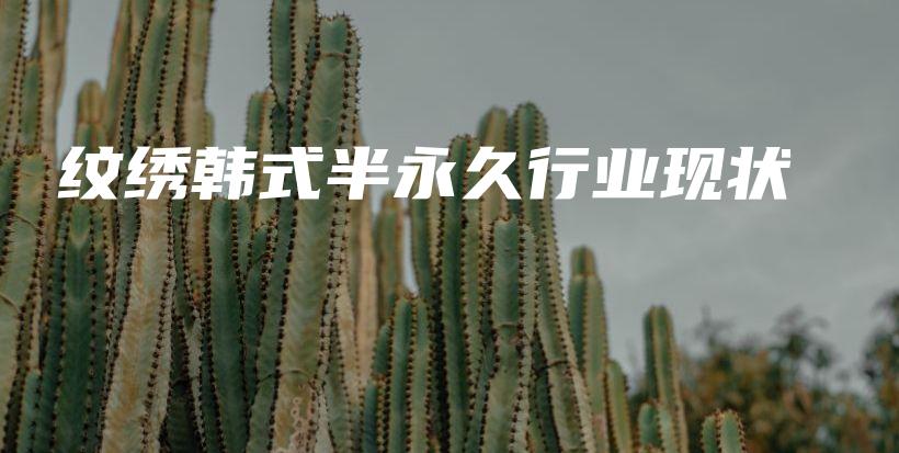 纹绣韩式半永久行业现状插图