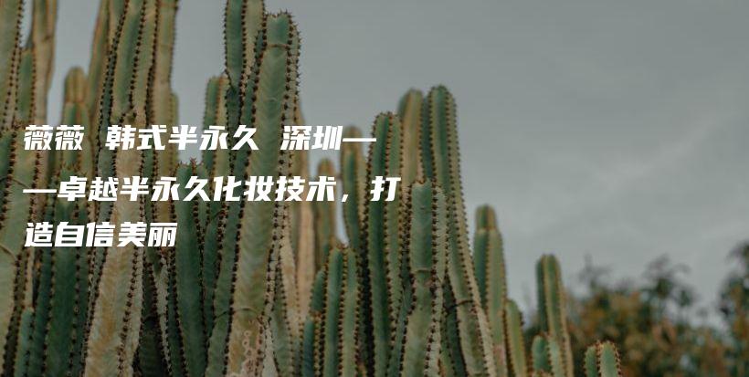 薇薇 韩式半永久 深圳——卓越半永久化妆技术，打造自信美丽插图