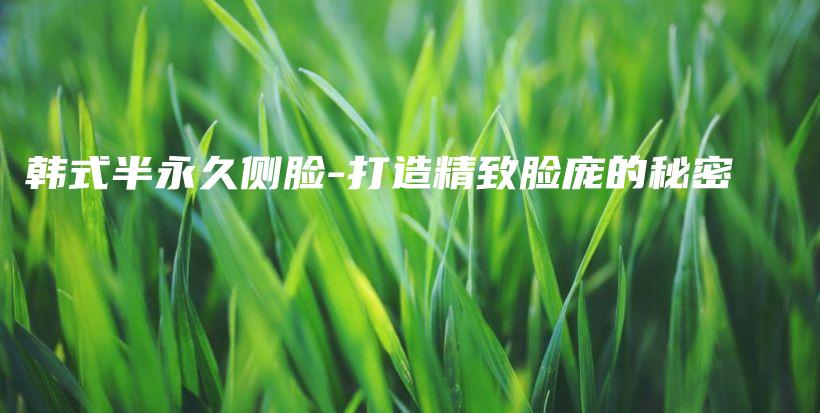 韩式半永久侧脸-打造精致脸庞的秘密插图