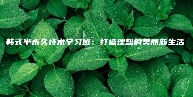 韩式半永久技术学习班：打造理想的美丽新生活插图