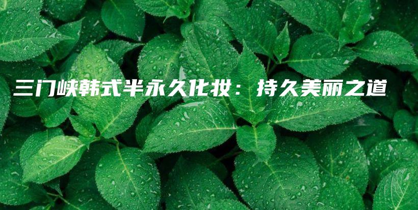 三门峡韩式半永久化妆：持久美丽之道插图