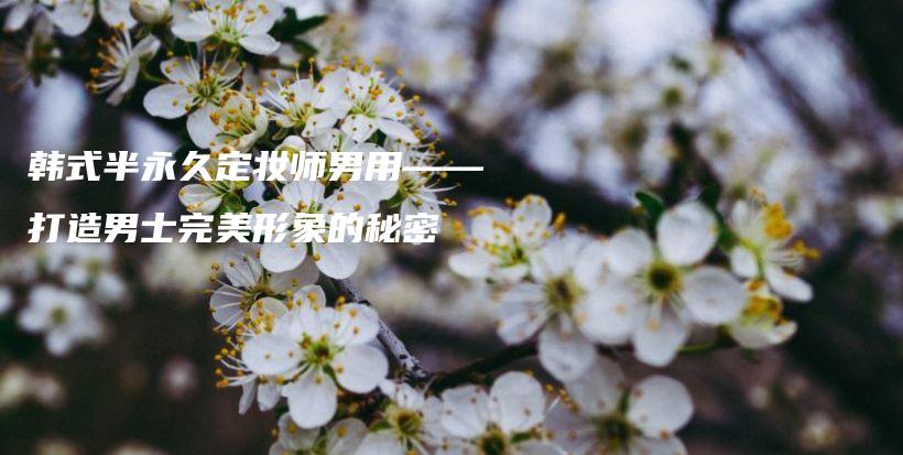韩式半永久定妆师男用——打造男士完美形象的秘密插图