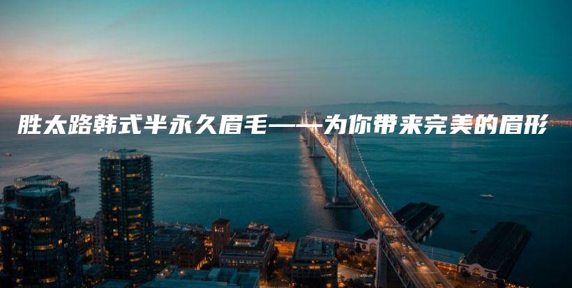 胜太路韩式半永久眉毛——为你带来完美的眉形插图