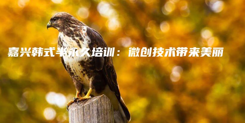 嘉兴韩式半永久培训：微创技术带来美丽插图