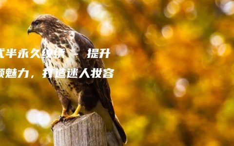 韩式半永久纹绣 – 提升容颜魅力，打造迷人妆容