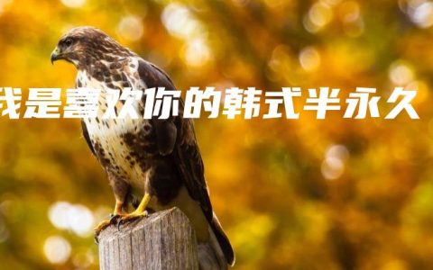我是喜欢你的韩式半永久