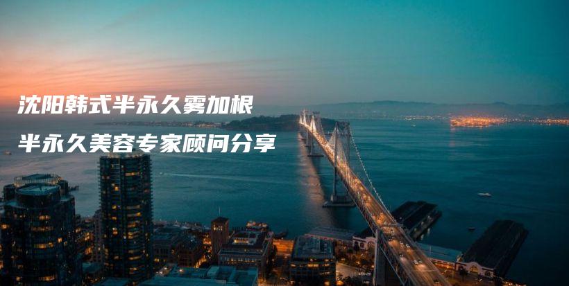 沈阳韩式半永久雾加根  半永久美容专家顾问分享插图