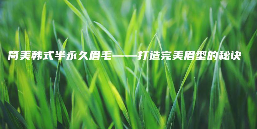 简美韩式半永久眉毛——打造完美眉型的秘诀插图