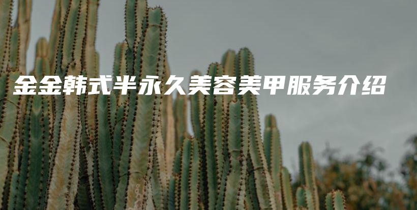 金金韩式半永久美容美甲服务介绍插图