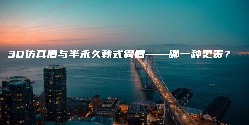 3D仿真眉与半永久韩式雾眉——哪一种更贵？插图