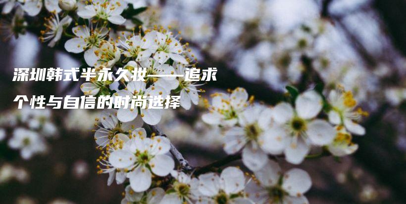 深圳韩式半永久妆——追求个性与自信的时尚选择插图