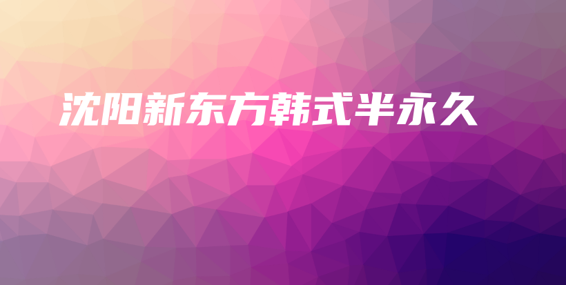 沈阳新东方韩式半永久插图