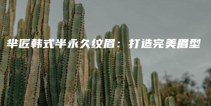 芈匠韩式半永久纹眉：打造完美眉型插图