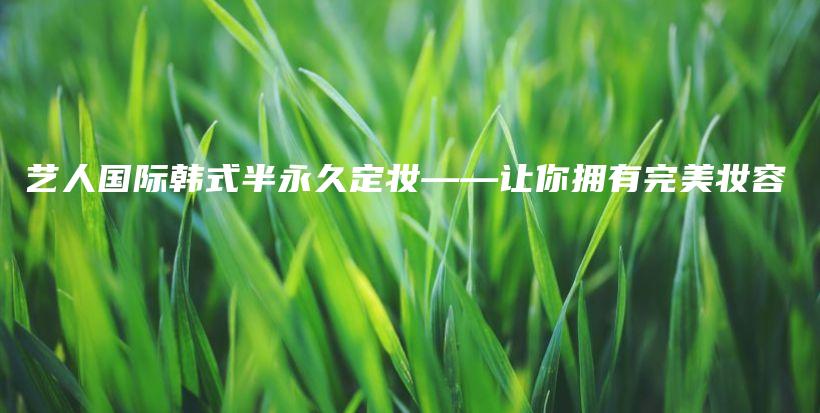 艺人国际韩式半永久定妆——让你拥有完美妆容插图