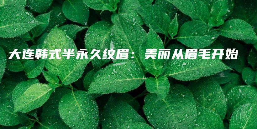 大连韩式半永久纹眉：美丽从眉毛开始插图