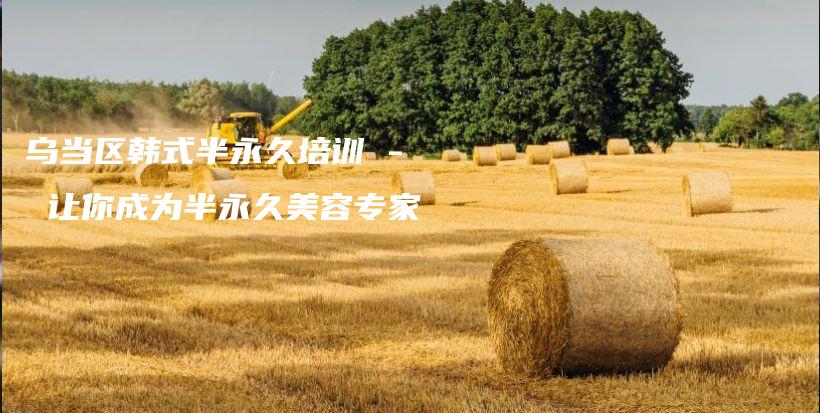 乌当区韩式半永久培训 – 让你成为半永久美容专家插图