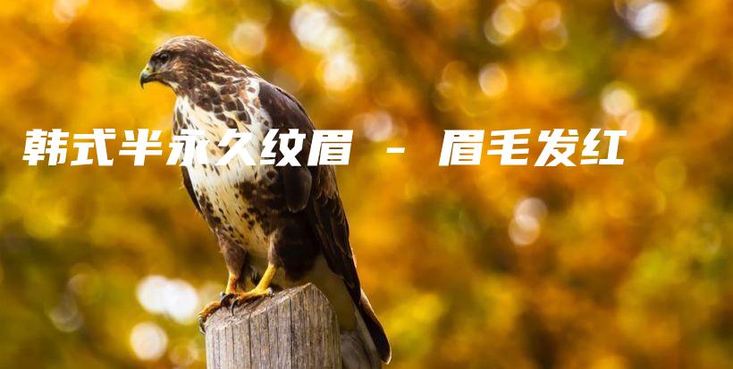 韩式半永久纹眉 – 眉毛发红插图