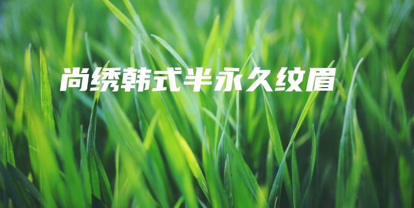 尚绣韩式半永久纹眉插图