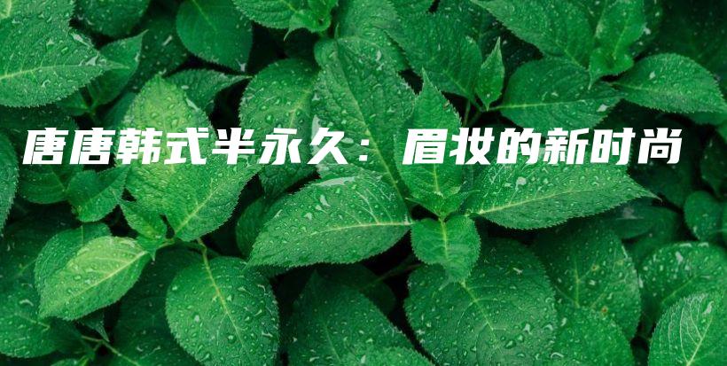 唐唐韩式半永久：眉妆的新时尚插图