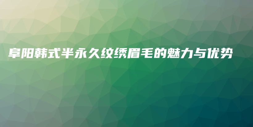 阜阳韩式半永久纹绣眉毛的魅力与优势插图