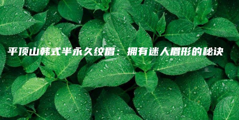 平顶山韩式半永久纹眉：拥有迷人眉形的秘诀插图