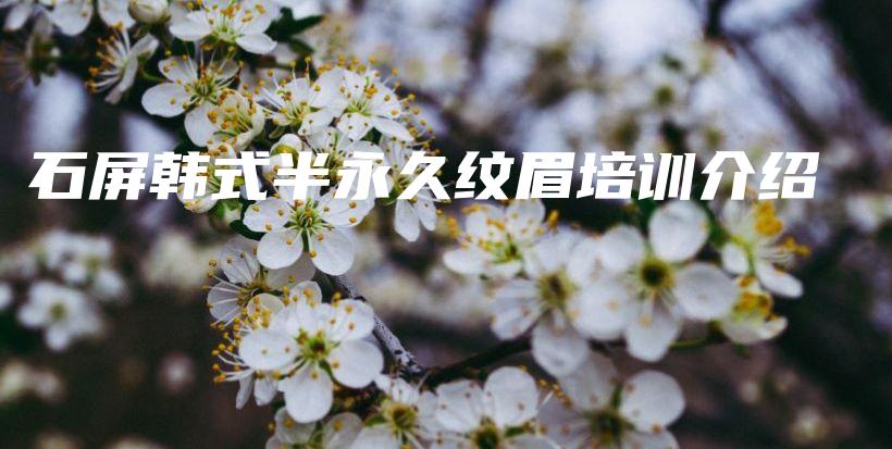 石屏韩式半永久纹眉培训介绍插图