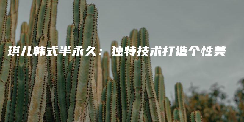 琪儿韩式半永久：独特技术打造个性美插图
