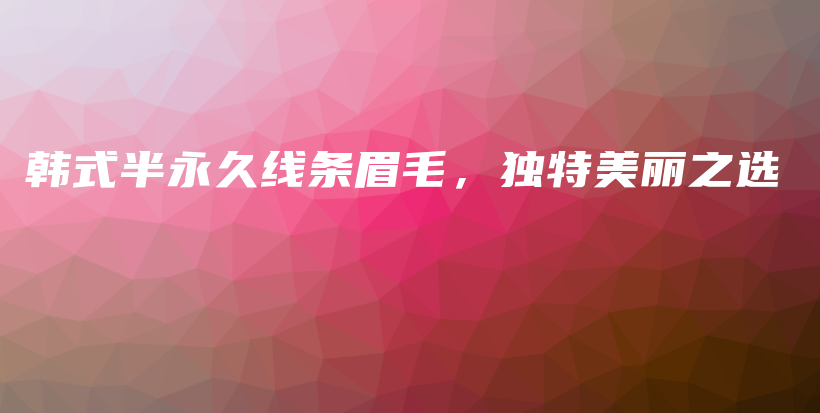 韩式半永久线条眉毛，独特美丽之选插图