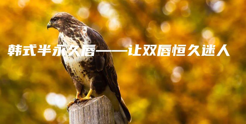 韩式半永久唇——让双唇恒久迷人插图