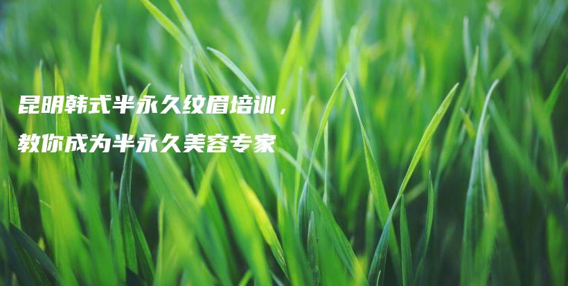 昆明韩式半永久纹眉培训，教你成为半永久美容专家插图