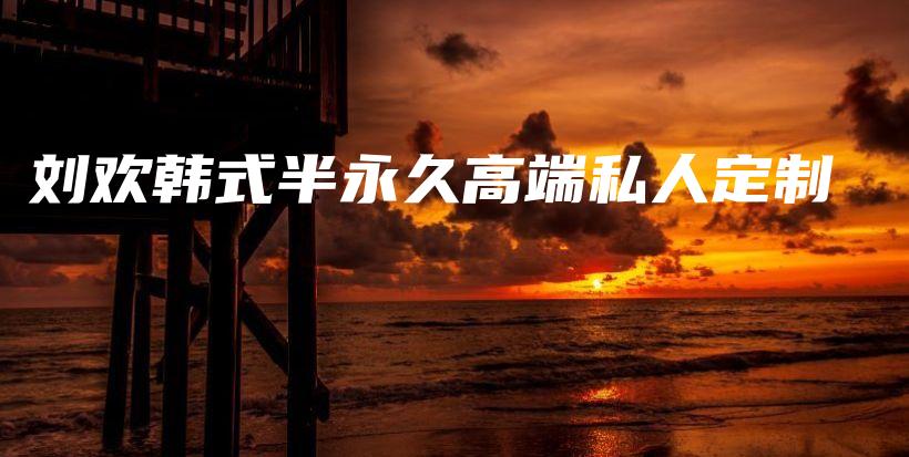刘欢韩式半永久高端私人定制插图