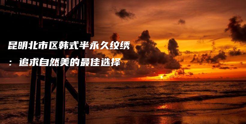 昆明北市区韩式半永久纹绣：追求自然美的最佳选择插图