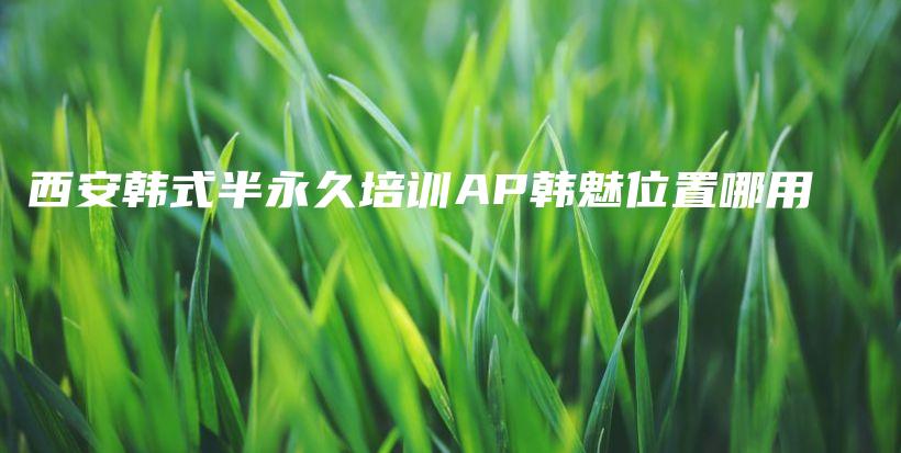 西安韩式半永久培训AP韩魅位置哪用插图