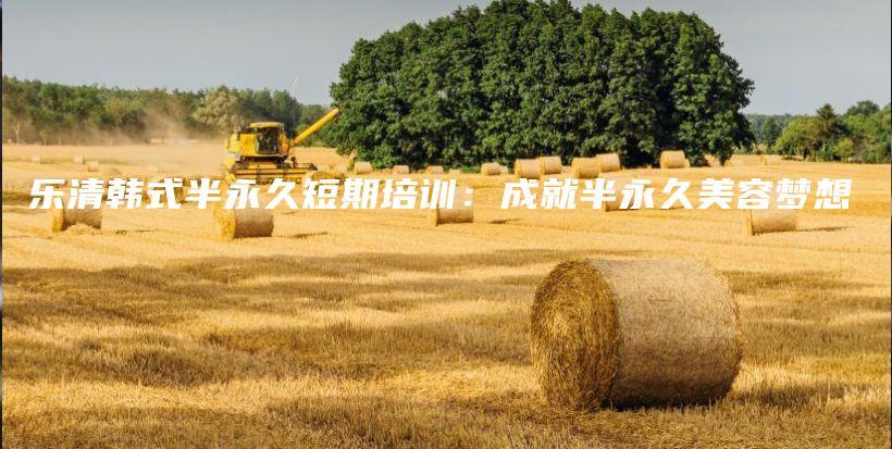 乐清韩式半永久短期培训：成就半永久美容梦想插图