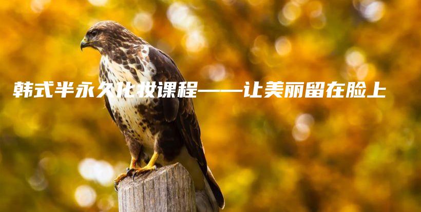 韩式半永久化妆课程——让美丽留在脸上插图