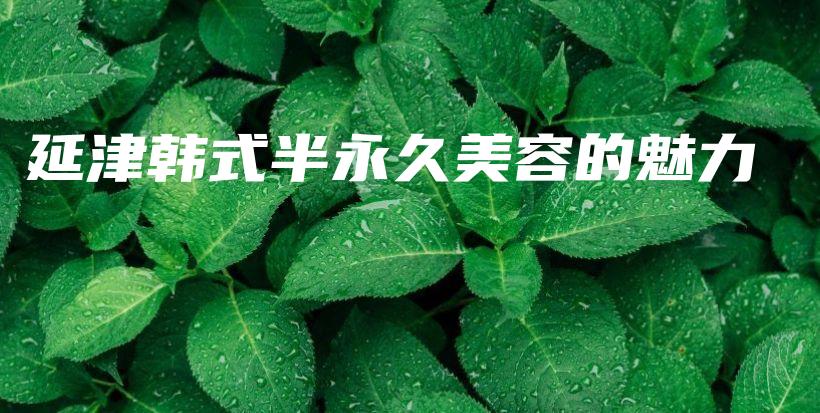 延津韩式半永久美容的魅力插图