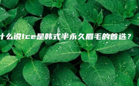 为什么说Ice是韩式半永久眉毛的首选？