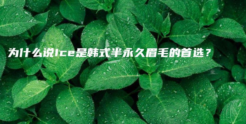 为什么说Ice是韩式半永久眉毛的首选？插图