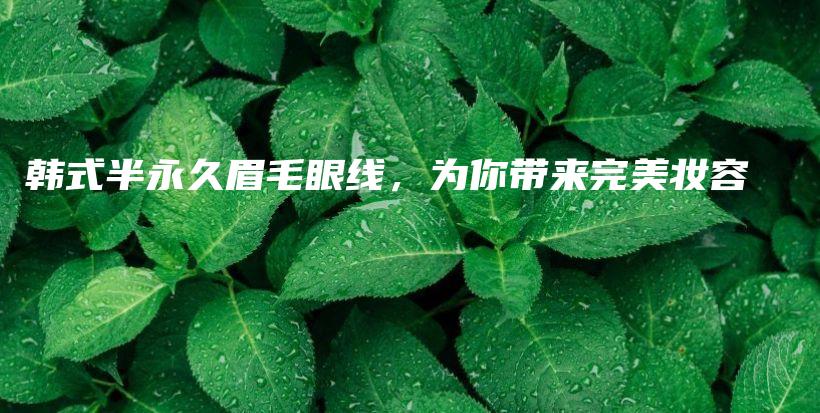 韩式半永久眉毛眼线，为你带来完美妆容插图