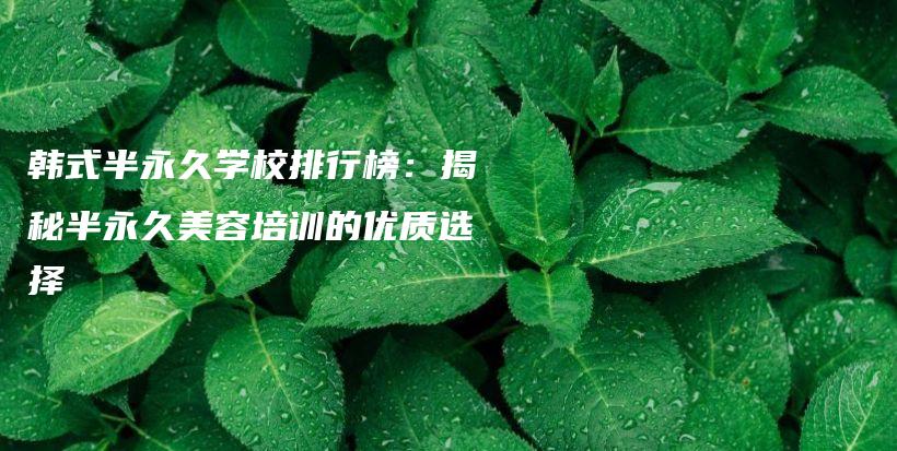 韩式半永久学校排行榜：揭秘半永久美容培训的优质选择插图