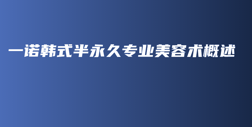 一诺韩式半永久专业美容术概述插图