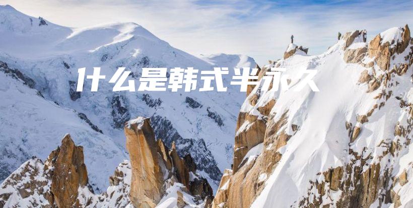 什么是韩式半永久插图