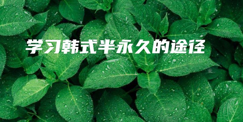 学习韩式半永久的途径插图