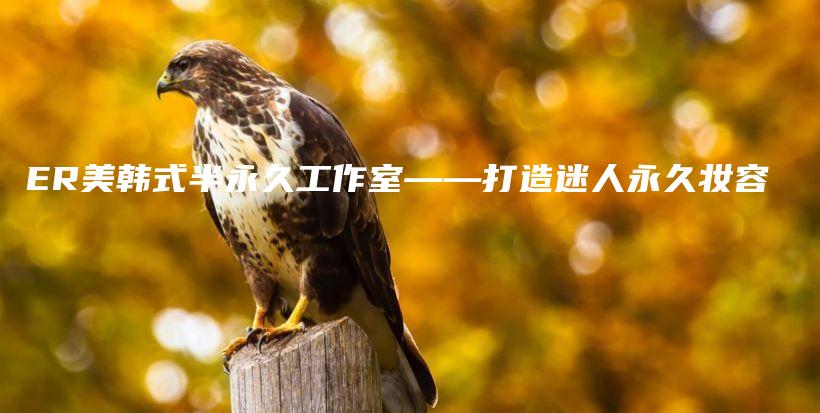 ER美韩式半永久工作室——打造迷人永久妆容插图