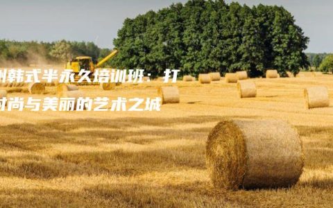 郑州韩式半永久培训班：打造时尚与美丽的艺术之城