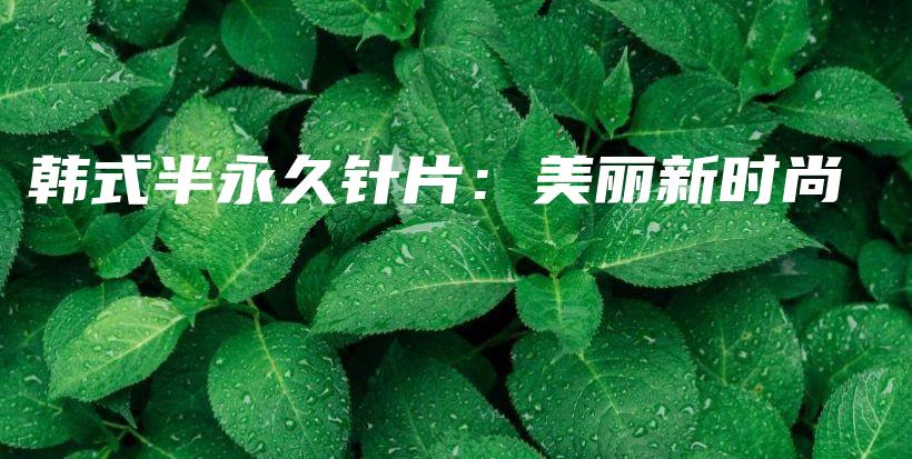 韩式半永久针片：美丽新时尚插图