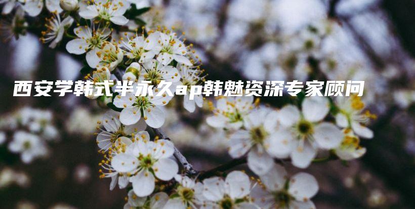 西安学韩式半永久ap韩魅资深专家顾问插图