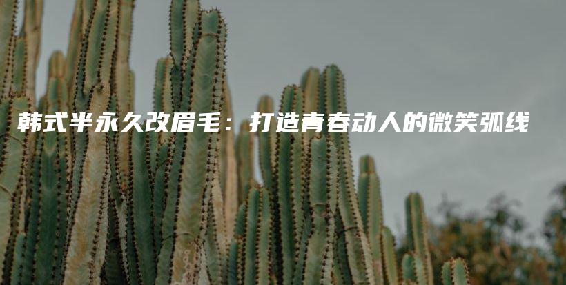 韩式半永久改眉毛：打造青春动人的微笑弧线插图