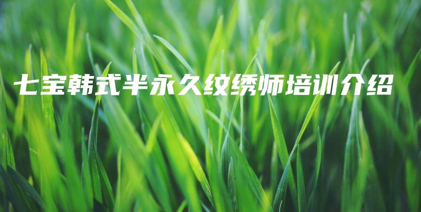 七宝韩式半永久纹绣师培训介绍插图